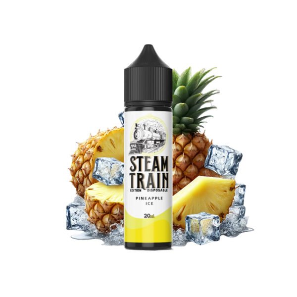 Steam Train - Disposable Edition - Vapeshot 20mL Shake 'n' Vape / Pineapple Ice